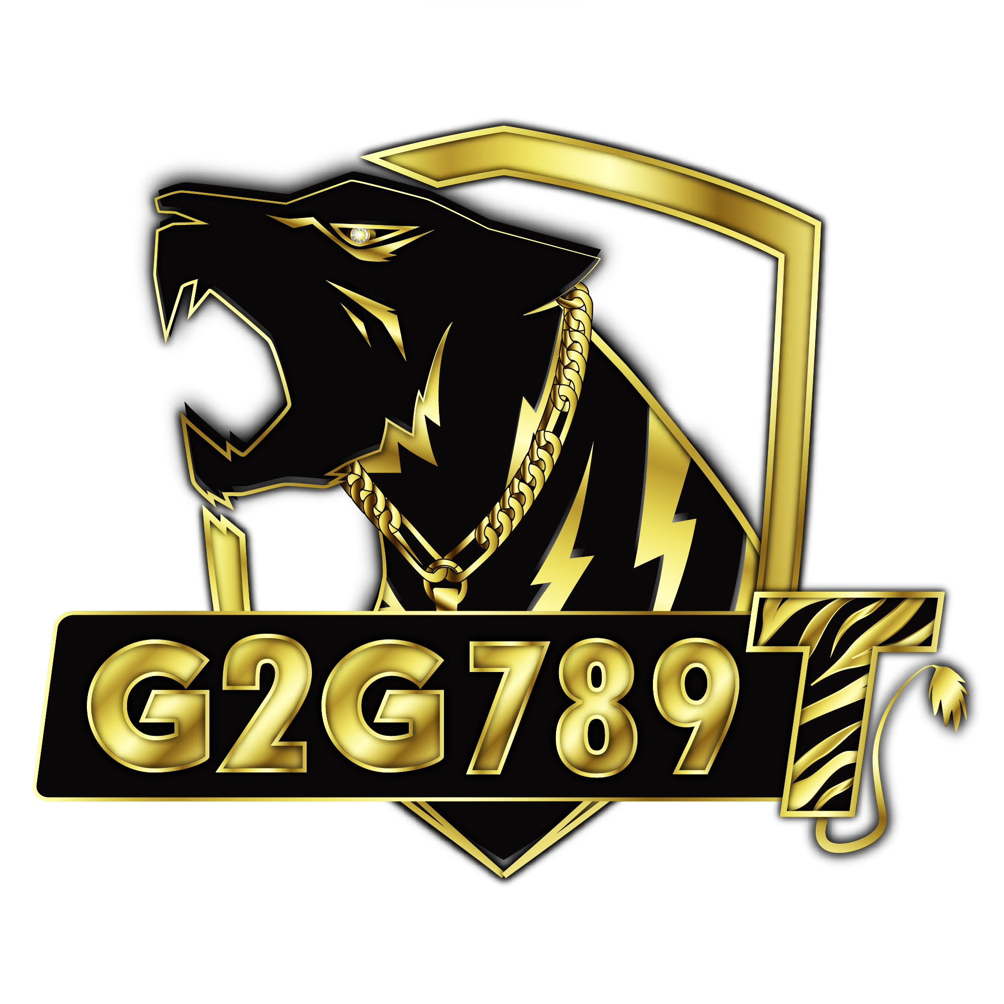 G2G789T